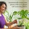 We The Wild™ Self-Watering Plant Globes